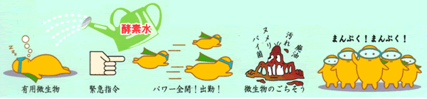 グリーンピュアのメカニズム図説