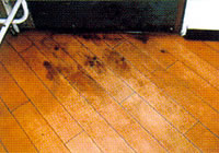 ������̈�ʓI�ȗ�1