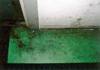 ������̈�ʓI�ȗ�2