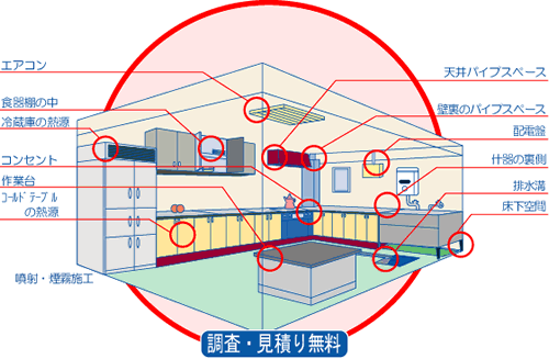 �^�b�N�x�C�g�V�X�e���{�H�}��